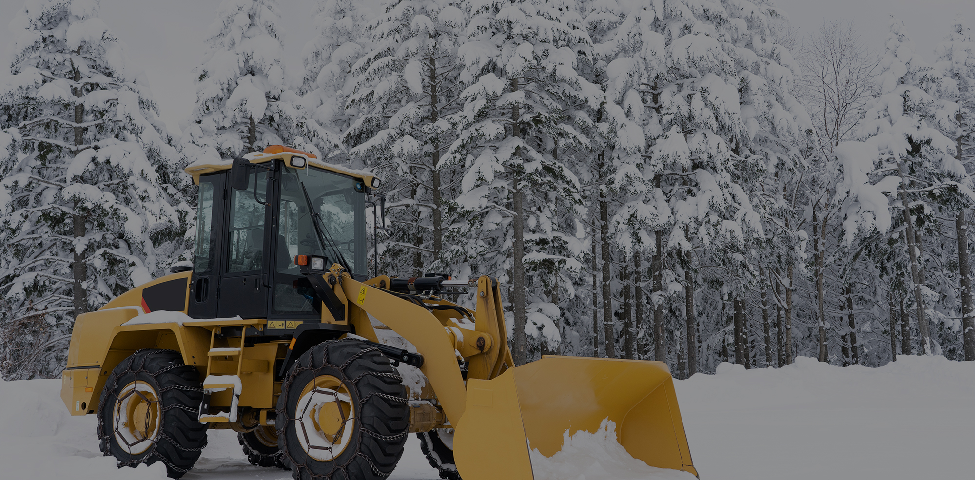 信頼の土台、安心の道づくり